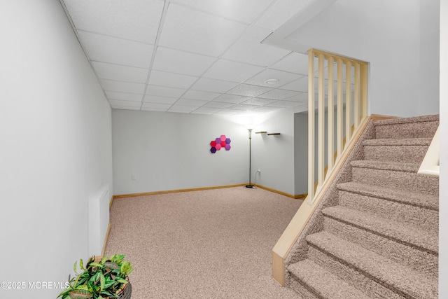 stairway with a paneled ceiling, carpet flooring, and baseboards
