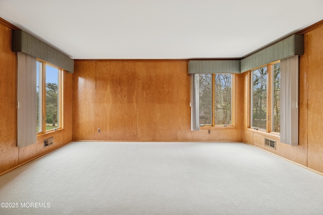 unfurnished room featuring carpet and wood walls