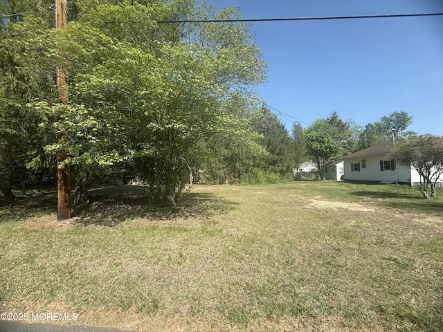 view of yard