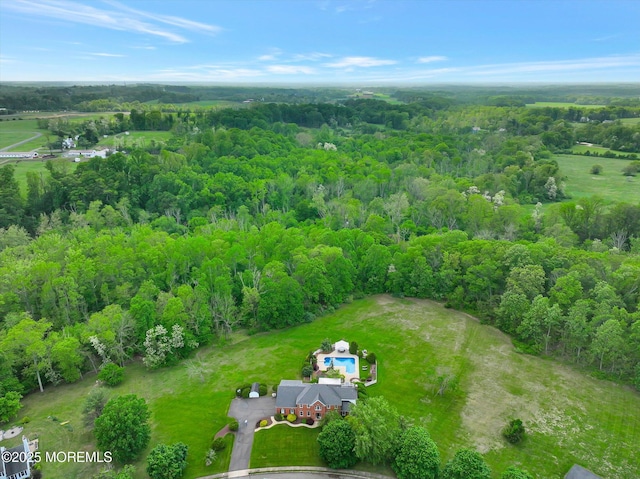bird's eye view of a forest
