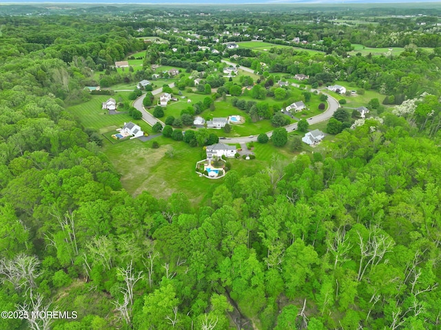 drone / aerial view of a forest