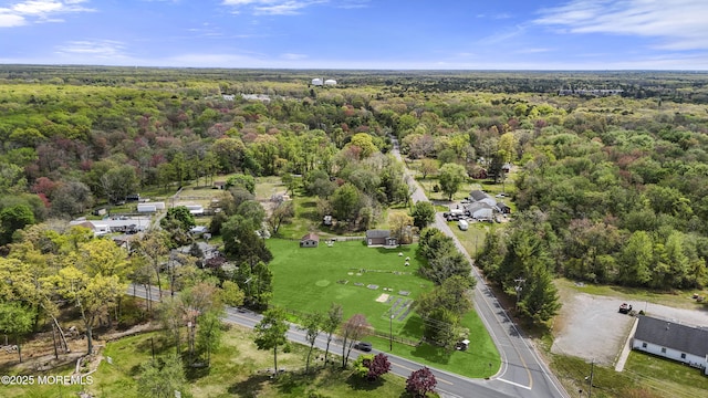 aerial view with a forest view