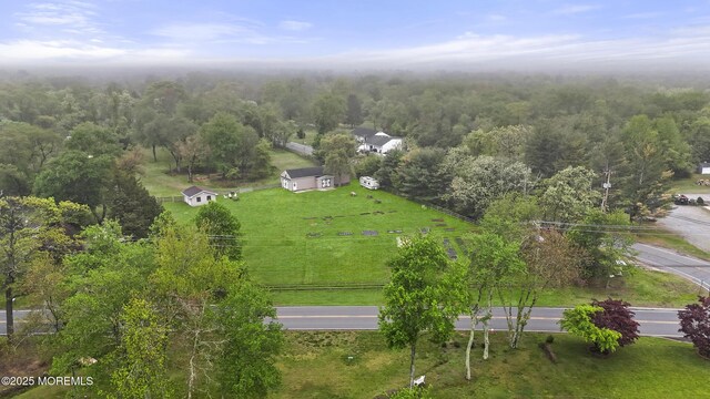 birds eye view of property with a view of trees