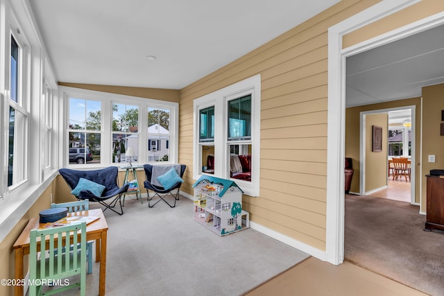 sunroom featuring baseboards, carpet, and wood walls