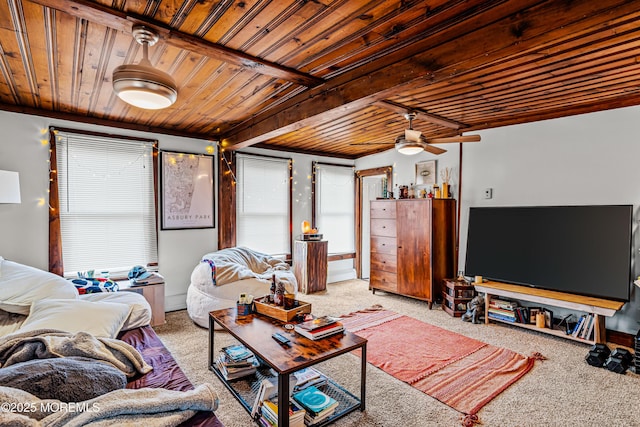 carpeted living area featuring wooden ceiling, a ceiling fan, and beamed ceiling