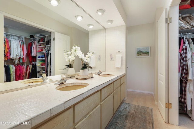 full bathroom with a sink, double vanity, and wood finished floors