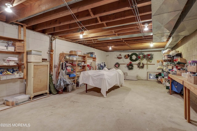 view of unfinished basement