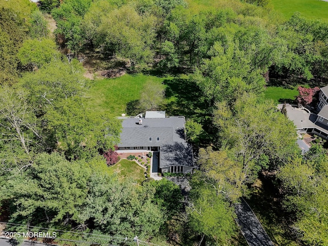 drone / aerial view