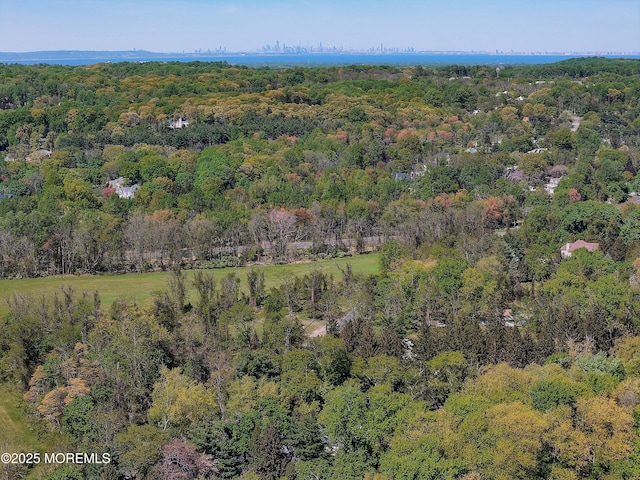 aerial view featuring a forest view