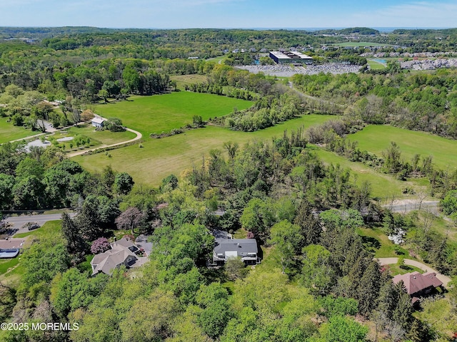 aerial view with a wooded view