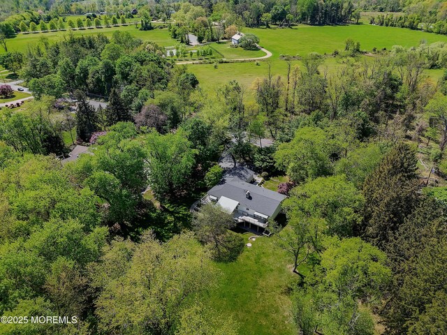 drone / aerial view