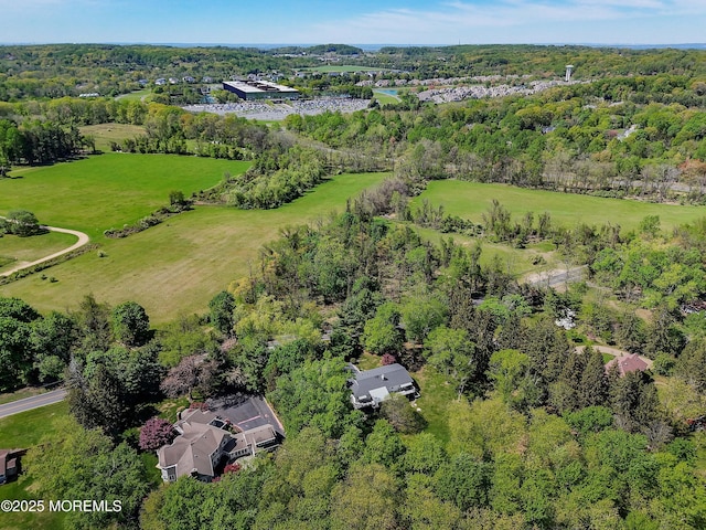 bird's eye view with a view of trees
