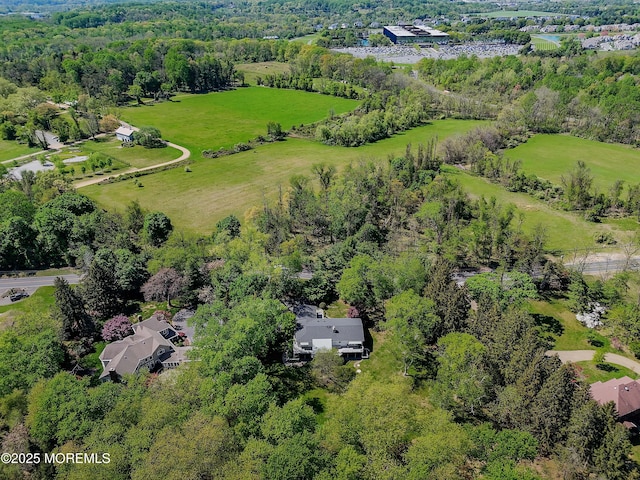aerial view