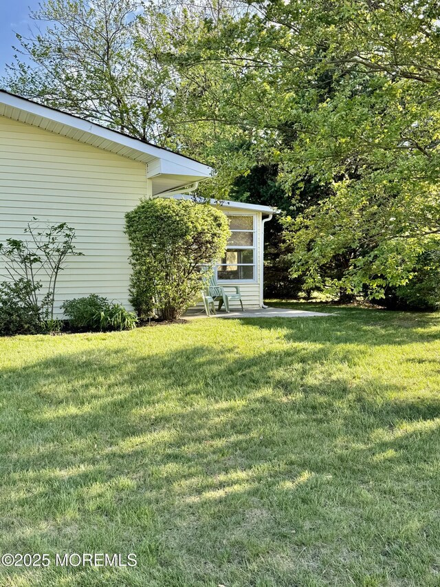 view of grassy yard