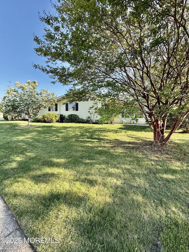 view of grassy yard