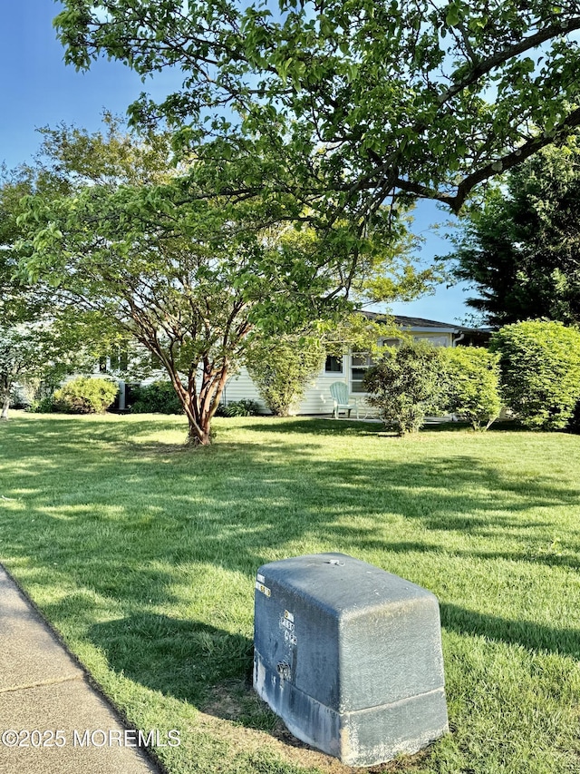 view of green lawn