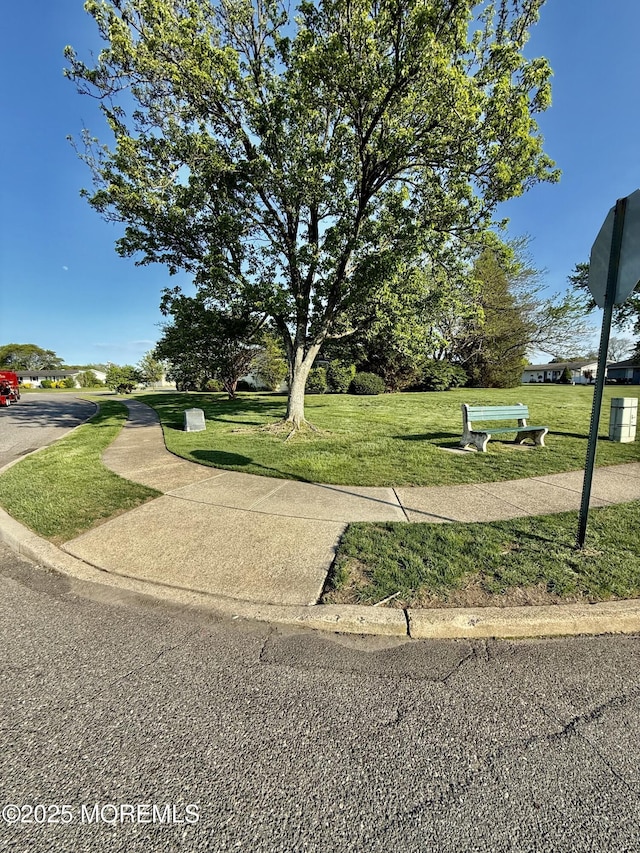 view of community featuring a lawn