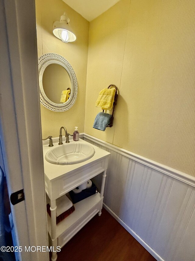 bathroom with wainscoting, wood finished floors, and vanity