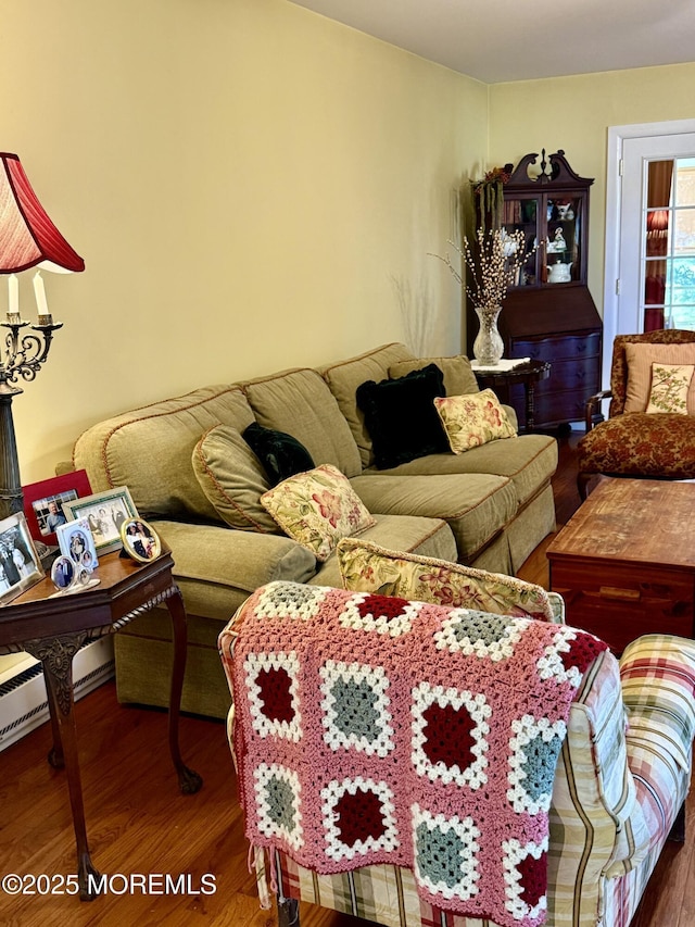 living area with wood finished floors