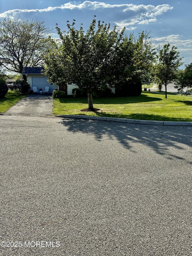 view of asphalt driveway