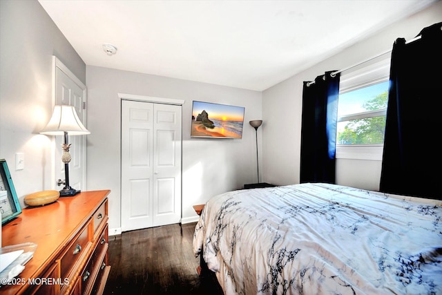 bedroom with a closet and dark wood-style floors