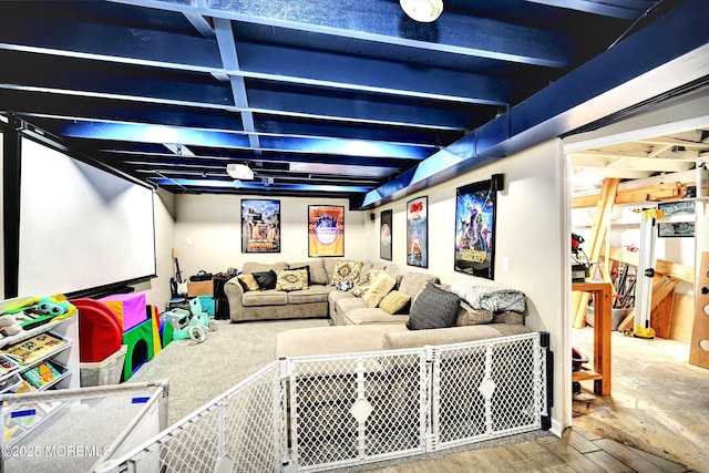 cinema room featuring wood finished floors