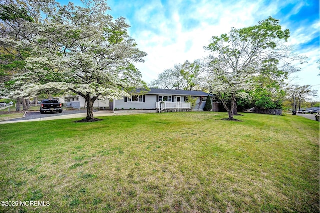 view of front facade with driveway, a front yard, and a carport