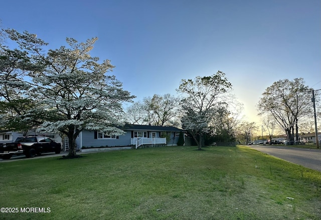 view of front of house with a front lawn