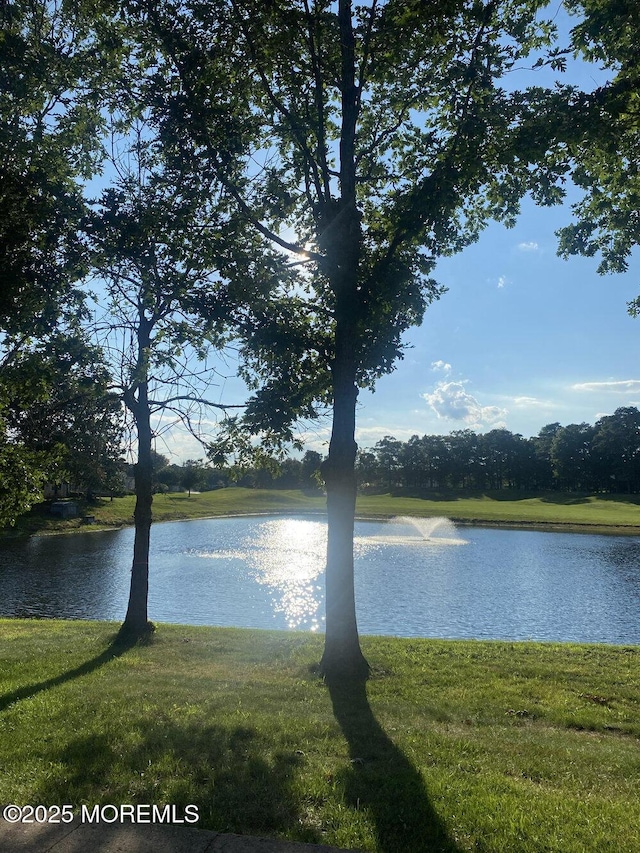 water view