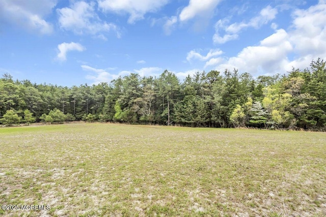 view of yard with a wooded view