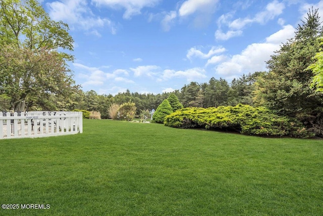 view of yard