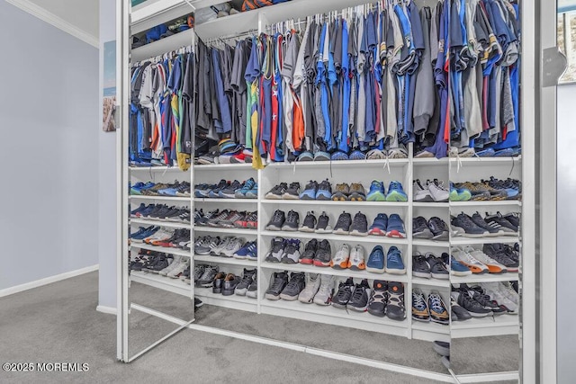 walk in closet featuring carpet floors