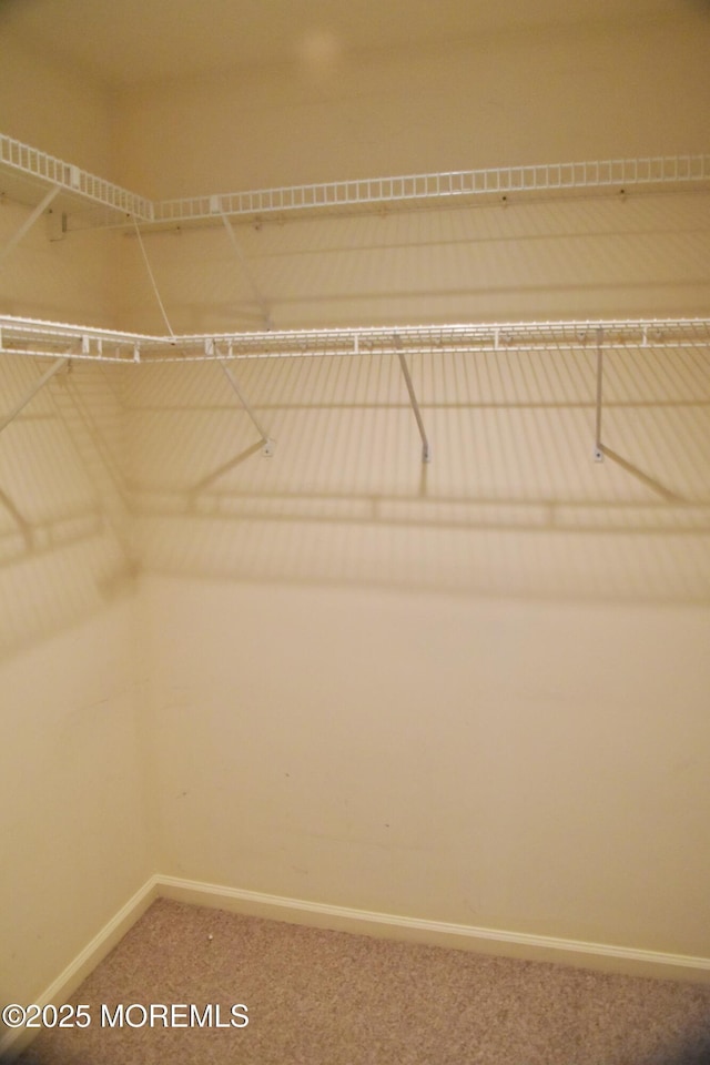 126 Cardigan Ct, Manchester, NJ 08759 - spacious closet featuring carpet floors