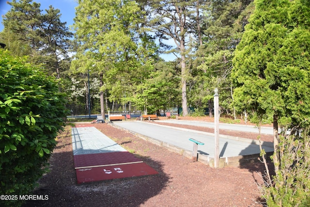 126 Cardigan Ct, Manchester, NJ 08759 - surrounding community with a bocce ball area, shuffleboard, and view of scattered trees