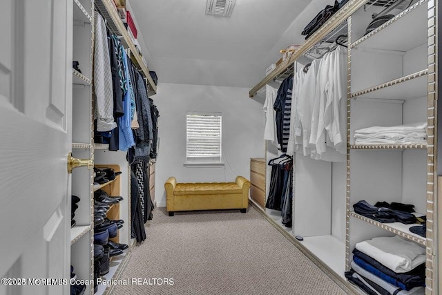3688 Ridgeway Rd, Manchester, NJ 08759 - walk in closet featuring carpet flooring