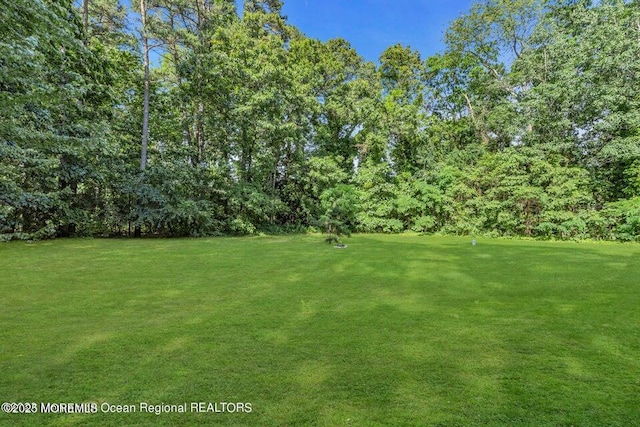 3688 Ridgeway Rd, Manchester, NJ 08759 - view of green lawn