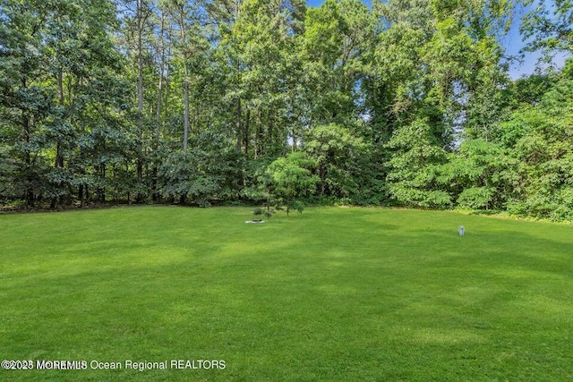 3688 Ridgeway Rd, Manchester, NJ 08759 - view of green lawn
