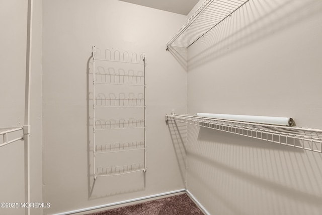 spacious closet with carpet flooring