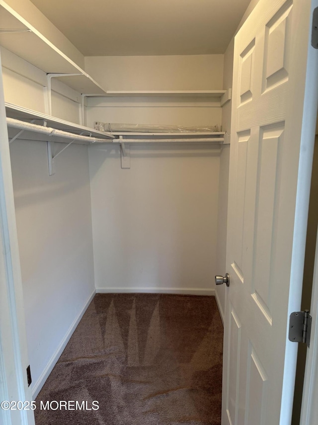 68D Yorktowne Pkwy, Whiting, NJ 08759 - walk in closet with carpet