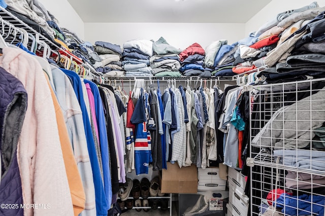 view of walk in closet