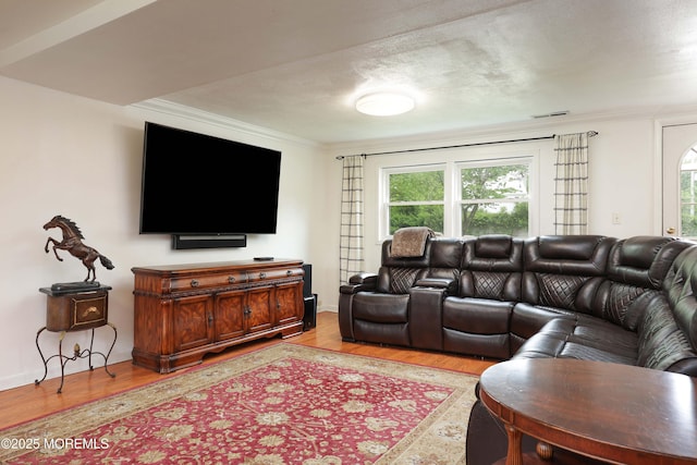 2 Nassau Pl, Middletown, NJ 07748 - living area featuring crown molding, healthy amount of natural light, light wood-type flooring, and baseboards