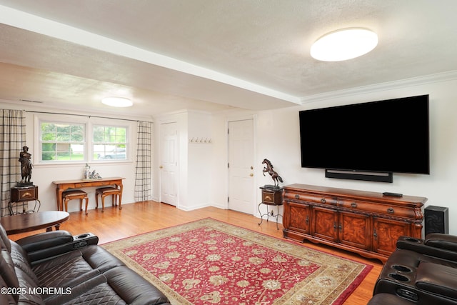 2 Nassau Pl, Middletown, NJ 07748 - living room featuring light wood-style flooring
