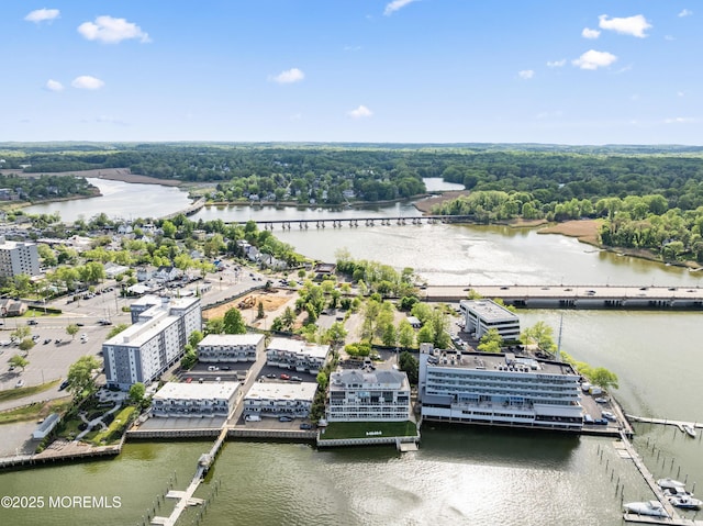 138 Bodman Pl Unit 5, Red Bank, NJ 07701 - bird's eye view of a nearby body of water