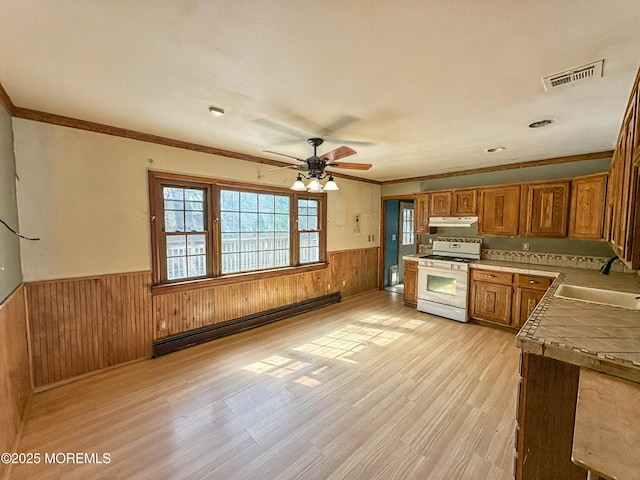 kitchen featuring a sink, white range with gas cooktop, crown molding, wainscoting, and a baseboard radiator