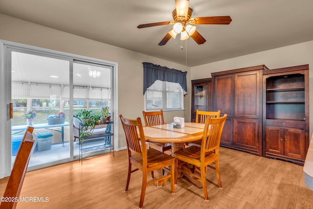 dining room with light wood-style floors and ceiling fan