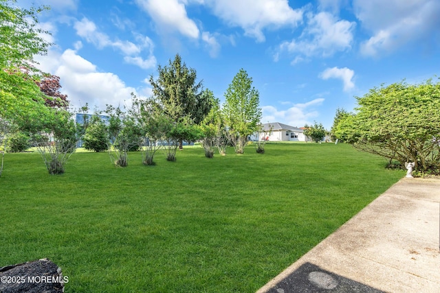view of green lawn