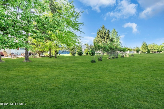 view of grassy yard