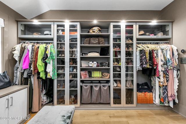 5 Laurel Ln, Rumson, NJ 07760 - view of closet
