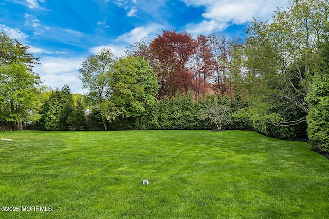 5 Laurel Ln, Rumson, NJ 07760 - view of green lawn