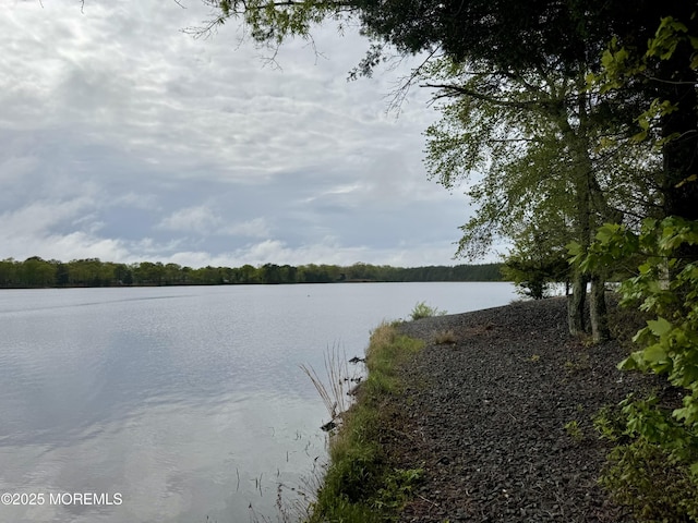 water view